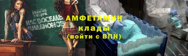 apvp Алзамай