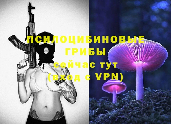 ГАЛЛЮЦИНОГЕННЫЕ ГРИБЫ Алексин
