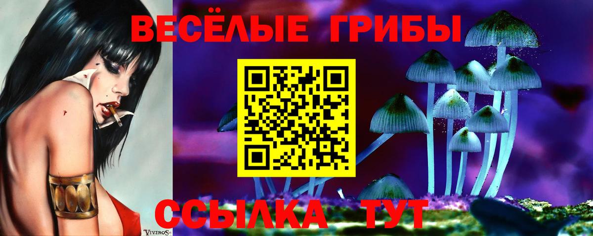 Псилоцибиновые грибы Psilocybe Казань